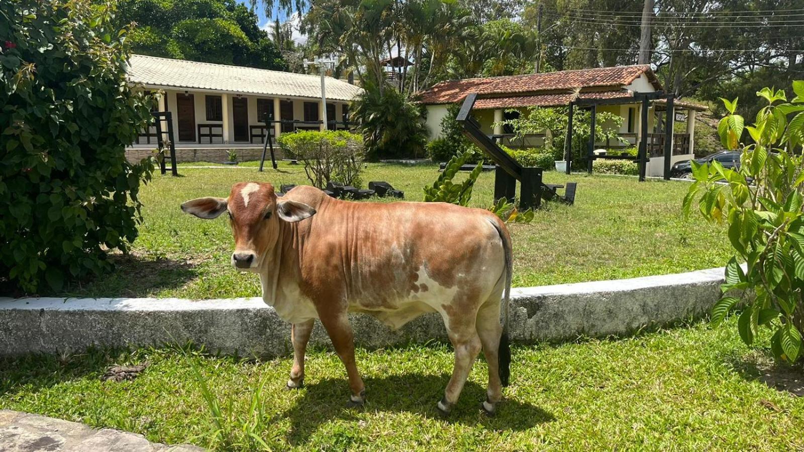 Hotel Fazenda Ceu Aberto Gravata (Gravata, Pernambuco)