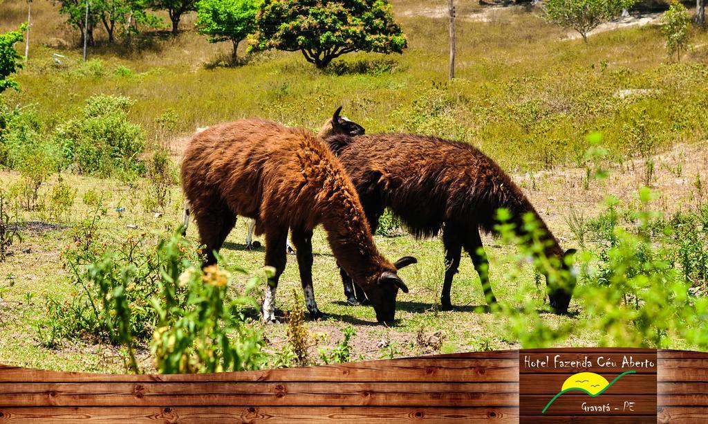 Hotel Fazenda Ceu Aberto Gravata (Gravata, Pernambuco)